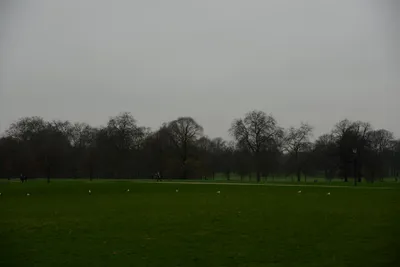 DSC_5749 (Large).JPG